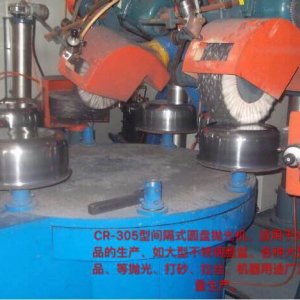 CR-305型間隔式圓盤(pán)拋光機(jī)